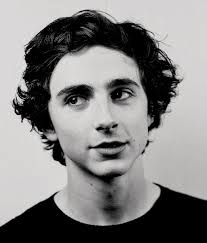 Happy birthday timothée chalamet pic.twitter.com/8xrqsxplue. Who Is Call Me By Your Name Actor Timothee Chalamet