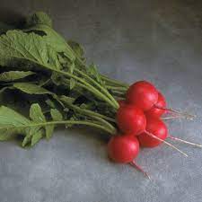 Not to be confuse with the weather is windy. Cherriette Hybrid Radish Seeds Park Seed