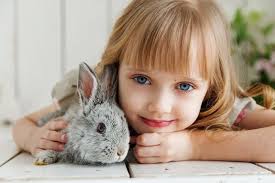 Rabbits are very clean animals and it's easier than you might think to litter train them. 8 Ways To Get Your Bunny To Trust You Bunnyhub