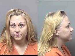 Citrus County Mugshots Nov. 26, 2018