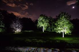 Led Landscape Lighting Moonscape Landscape Illumination Batavia Il