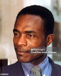 400 General Dentistry Stock Photos, High-Res Pictures, and Images