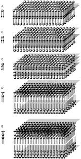 A paper in which a member state or observer sets out its position on a set of topics. Zweidimensionale Polymere Nur Ein Traum Von Synthetikern Sakamoto 2009 Angewandte Chemie Wiley Online Library