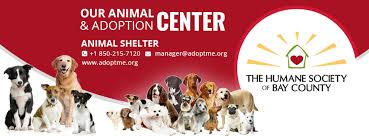Parents take place in panama. The Humane Society Of Bay County Home Facebook