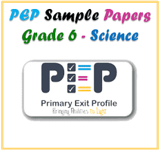 Pep Grade 6 Science Sample Paper 2019 Practice Test Questions Answers