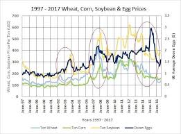 Chicken Or Egg Which Will Build More Wealth Cal Maine