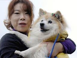 C'est une méthode un peu radicale pour satisfaire la curiosité humaine et désigner, à titre posthume, quel est « l'arbre le plus vieux du monde ». Le Plus Vieux Chien Du Monde Est Mort Au Japon Age De 26 Ans Le Point
