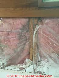We did not find results for: Cathedral Ceilings Un Vented Roof Solutions How To Avoid Condensation Leaks Attic Mold Insulation Mold Structural Damage To Roof Framing When Roof Venting Is Not Possible