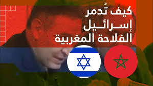 مزرعة فاكهة التنين سلقطة قصور الساف @efttunisia