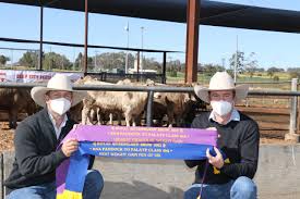 Attend on either tuesday 10, thursday 12 or sunday 15 august 2021 and save. Palgrove And Russell Pastoral Take Major 2021 Ekka Paddock To Palate Weight Gain Honours Beef Central