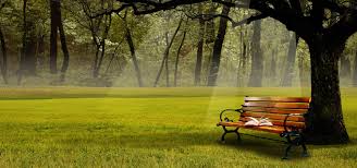 nature landscape background book chair green spring poster banner campo