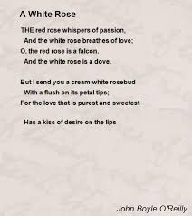 A White Rose Poem By John Boyle O Reilly Poem Hunter Rose Poems Rose Love Quotes Rose Quotes