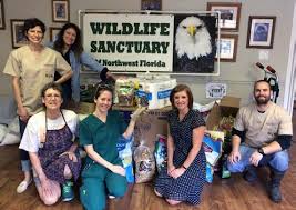 Wildlife Sanctuary's Annual Baby Shower & Supply Drive