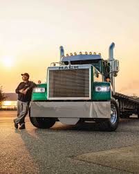 Image result for Green 1986 Fleet