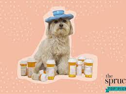 See the best & latest australian pet meds free shipping on iscoupon.com. The 6 Best Places To Buy Pet Medication Online In 2021