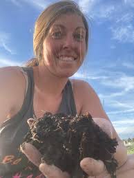 Introducing six happy chickens in their new fenced area