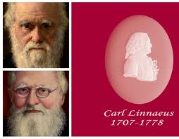 PDF) Survival of the Fittest