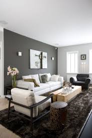 Gray Accent Wall Living Room Grey Accent Wall Living Room Grey Walls Living Room Accent Walls In Living Room