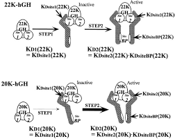 Human growth hormone is a prescription medication in the us, meaning that its distribution and use without a prescription is illegal. The Binding Between The Stem Regions Of Human Growth Hormone Gh Receptor Compensates For The Weaker Site 1 Binding Of 20 Kda Human Gh Hgh Than That Of 22 Kda Hgh Journal Of
