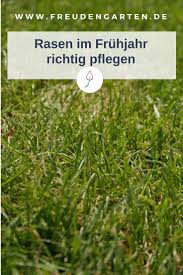 Rasen Im Fruhjahr Pflegen Vertikutieren Und Dungen U Diy Gartenprojekte Rasen Dungen Rasen