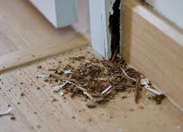 For an active infestation, we typically suggest getting a pest control service company to do the work for subterranean (ground) termites. Diy Termite Treatment Does It Work Terminix