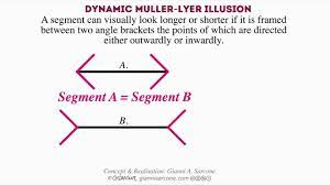 When viewers are asked to place a mark on the figure at the midpoint, they invariably place it more towards the tail end. Dynamic Muller Lyer Illusion Youtube