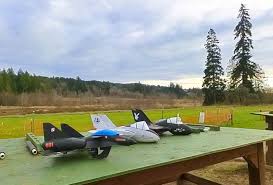 Skorpion and two Tomcats Today