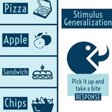 Response Versus Stimulus Generalization Examples To Help You On Your Bcbaexam Learn The Difference With These Ro In 2020 No Response Generalizations Apple Sandwich