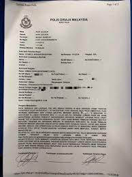 Please review and check all boxes that apply before submitting your report. How To Make A Fake Police Report
