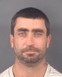 Dogs seized; owners face drug charges