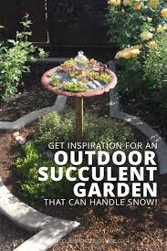 Find out which types of succulents and cacti will thrive, tips for growing succulents, plants for sale. Outdoor Succulent Garden With Cold Hardy Succulents Succulents And Sunshine