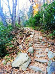 Pin By Visit Gatlinburg On Hiking In The Smokies Gatlinburg Vacation Hiking Trails Forever Travel