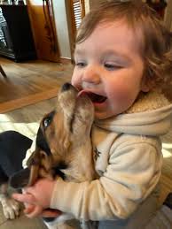 Tbt to baby Linus. 💙 (And Vanya Roache… rip… 🥀)