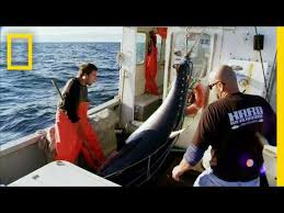 We did not find results for: March 2015 Fishfishme Blog