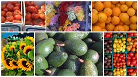 Cambria Farmers Market