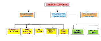 Mab Organization Chart