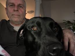 Here we go! I do have dogs too. This is Shadow with Malice.