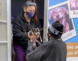 Maybe you would like to learn more about one of these? Mobile Veterinary Clinic Returns To Camden Tapinto