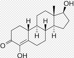 Steroid — die struktur der steroide. Molekul Chemische Struktur Steroid Chemische Substanz Chemische Verbindung Andere Aldosteron Anabole Anabolika Png Pngwing