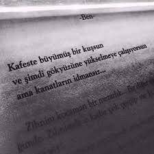kafeste buyumus bir kussun ve simdi gokyuzune yukselmeye calisiyorsun ama kanatlarin idmansiz kaynak instagram ozlu sozler kitap alintilari guzel soz