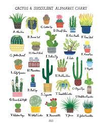 Cactus Succulent Alphabet Chart Art Print Etsy In 2021 Cactus Types Of Cactus Plants Cactus Plants