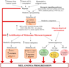 Pathway limfoma hodgkin faktor resiko, kelainan sistem kekebalan, infeksi virus & bakteri, toksin lingkungan mutasi sel limfosit adanya sel reed sternberg limfoma hodgkin. Overview Of Genetic Signaling Pathway Interactions Within Cutaneous Malignancies
