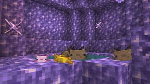 Axolotls attack all aquatic mobs except turtles and dolphins. Download Minecraft Pocket Edition 1 17 10 20 Caves Cliffs Beta Version