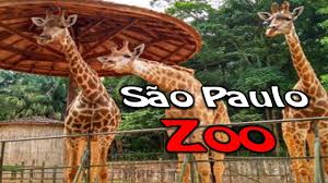 We would like to show you a description here but the site won't allow us. Zoologico De Sao Paulo Youtube
