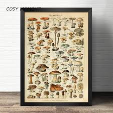 Us 6 79 30 Off Cosy Moment Botanical Animals Educational Prints Mushrooms Champignons Identification Reference Chart Poster Wall Decor In Painting