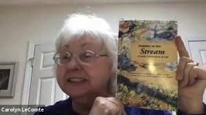 The Purpose of a Poem Series