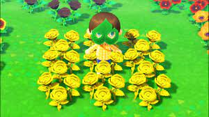All flowers in animal crossing: When You Learn How To Grow Rare Gold Roses In Animal Crossing New Horizons Youtube