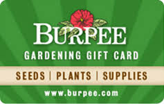 Most companies that issue gift cards provide a way to check the current gift card balance online, by phone or by visiting them in person at any of. Burpee Gardening Gift Card Balance Check Giftcardgranny