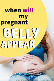 Pin On Getting Pregnant