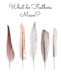 Black and white feather meaning. What Does Finding A Feather Symbolize